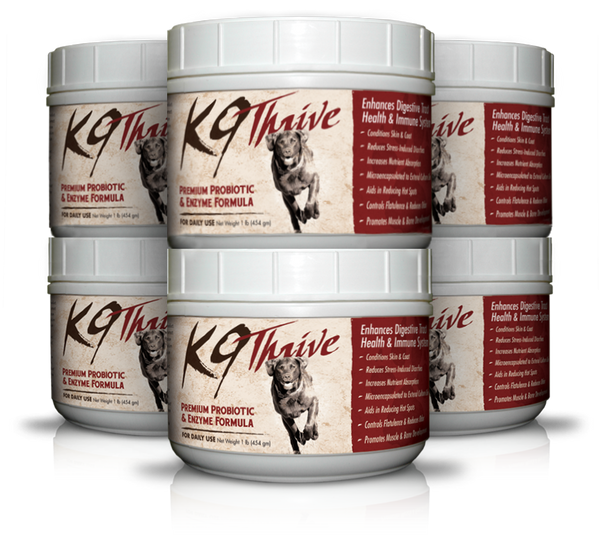 K9 probiotics top